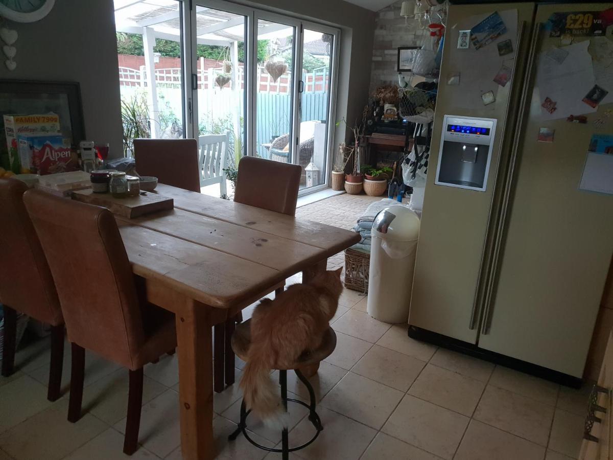 צ'סטר Le Studio Attic , Fridge Tv Microwave, מראה חיצוני תמונה